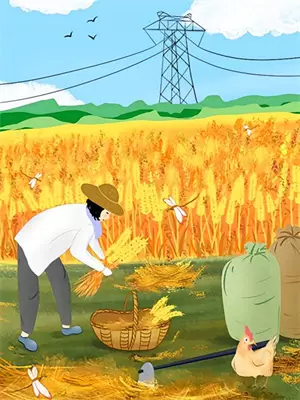 不可思议的幻想乡攻略