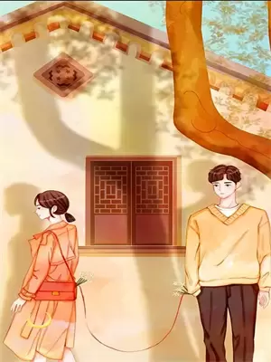 火影哪个忍者登场好看